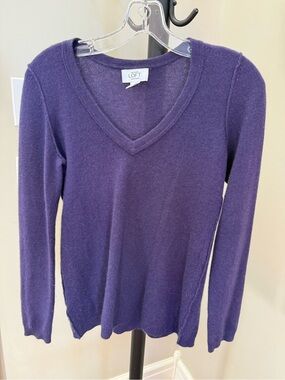 LOFT Deep Purple V-Neck Cashmere Sweater